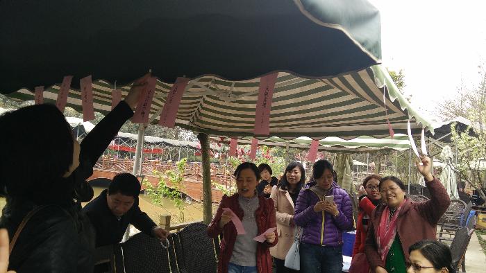 美狮贵宾会