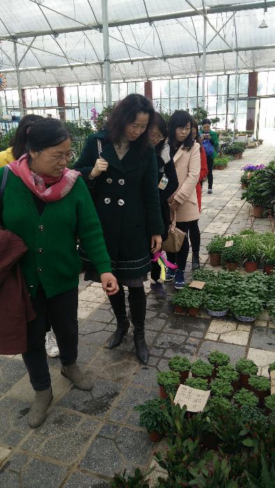 美狮贵宾会
