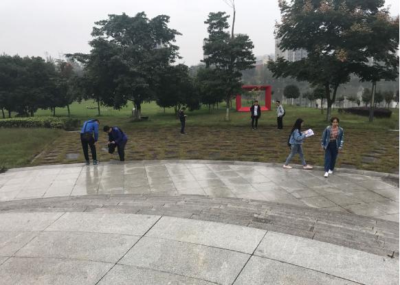 美狮贵宾会